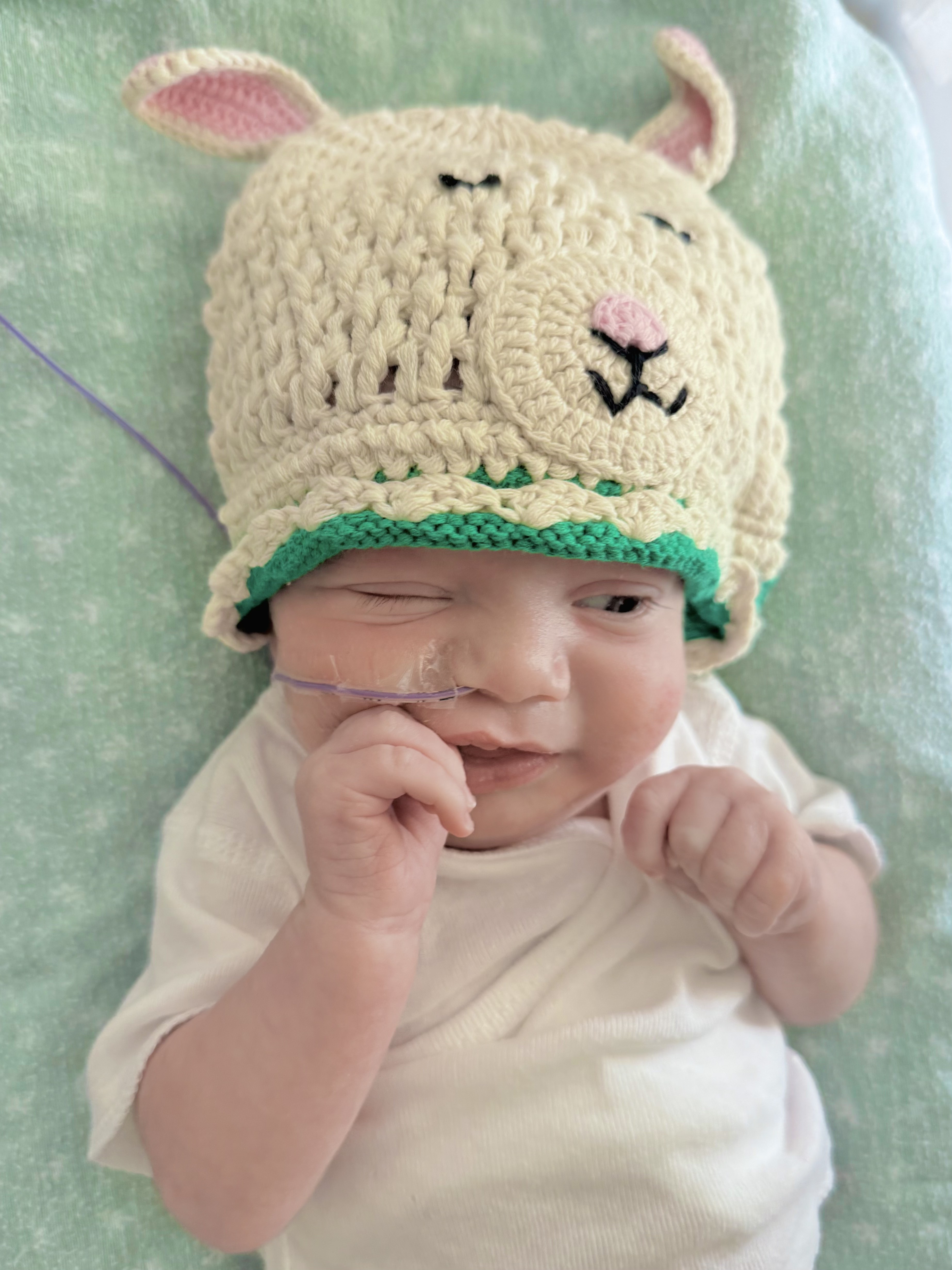 Samuel in the lamb hat